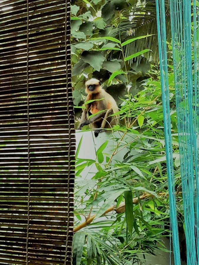 Hotel Columbus Goa Canacona Zewnętrze zdjęcie
